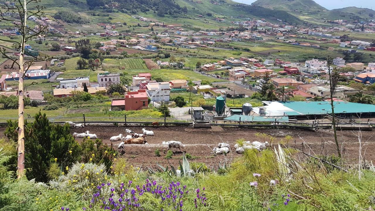 Apartamento La Casita De Omar En El Corazon De Anaga Y La Laguna